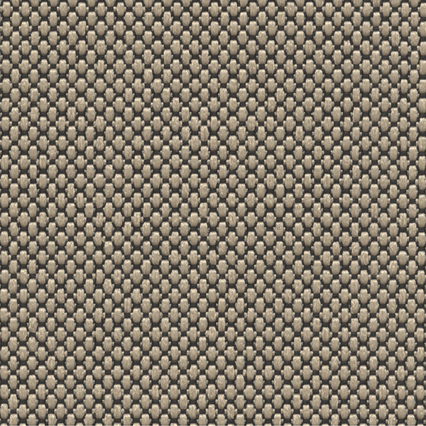 Baobab 1510
